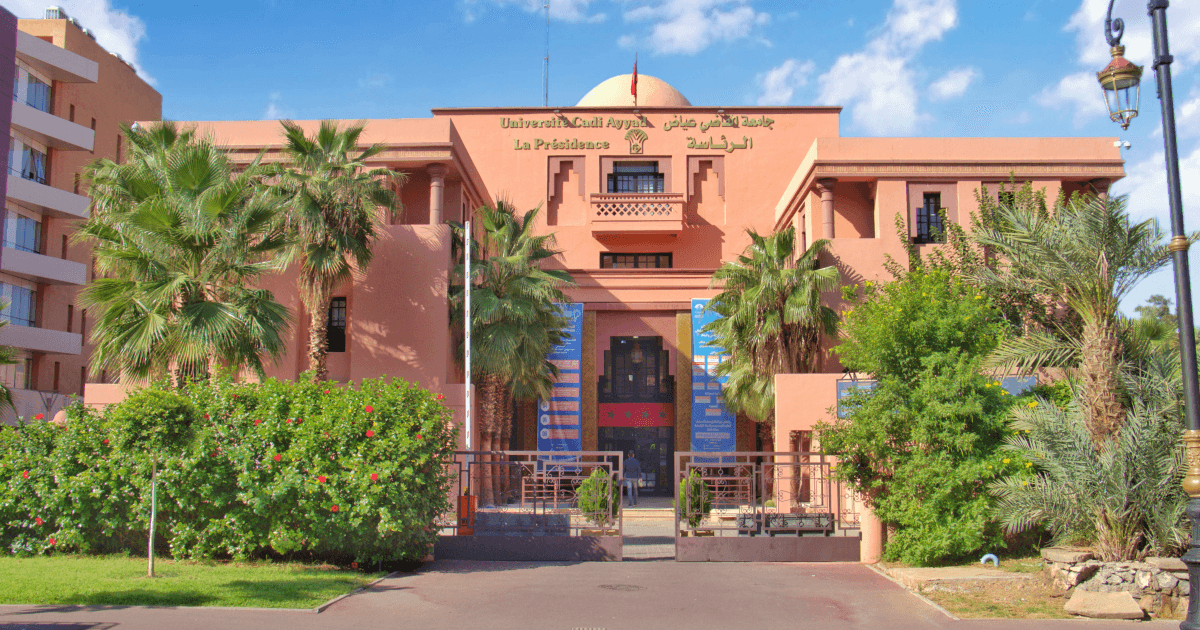 البحث العلمي يصنع الفارق.. كيف تنافس الجامعات المغربية عالميا رغم الإكراهات؟