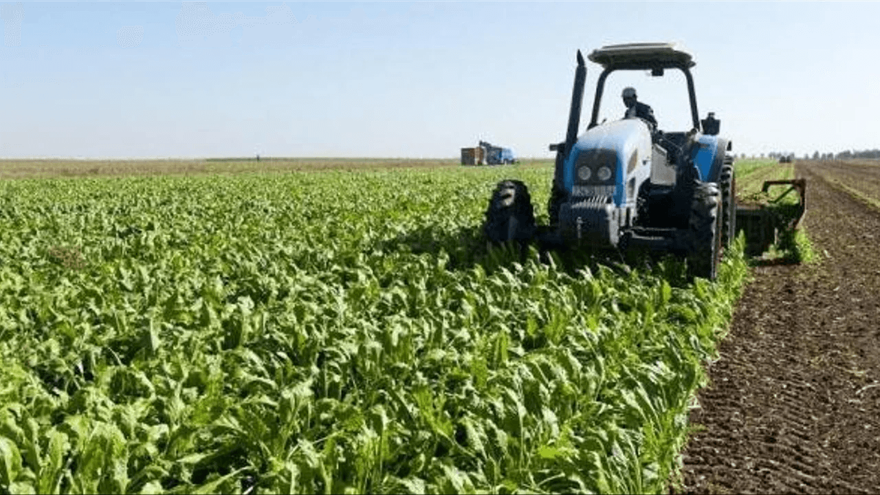 فلاحو دكالة يضعون الماء وكلفة الإنتاج بصدارة رهانات الانتخابات
