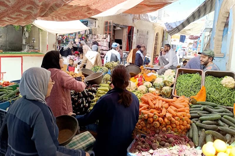 السيادة الغذائية.. الأصالة والمعاصرة يقترح منطقا جديدا للفلاحة تحت ضغط الماء والجفاف