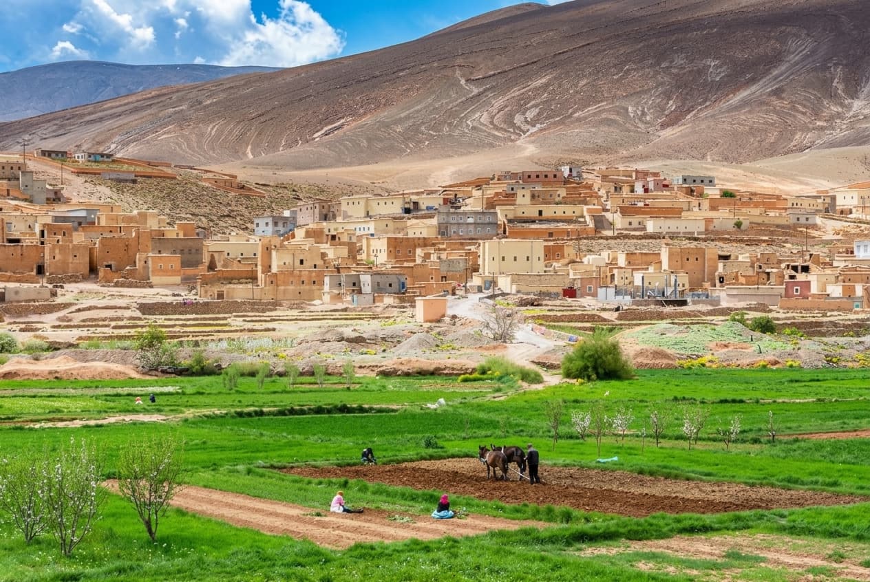 الحكومة تضع المناطق الجبلية والواحات والقرى ودعم صغار الفلاحين في واجهة مالية 2027