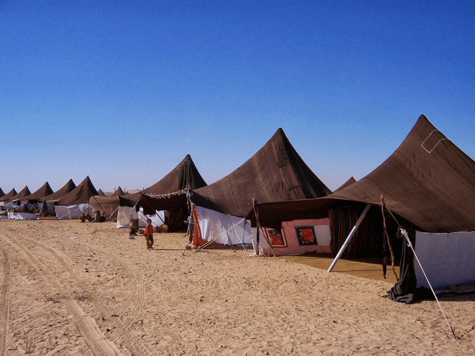 الخيمة الصحراوية تخطف الأنظار في قلب كوبنهاغن