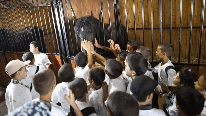 أطفال الجديدة يستكشفون عالم الخيل بمعرض الفرس