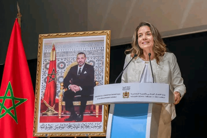 بنعلي: رهان إفريقيا هو الاحتفاظ بقيمة أكبر من ثرواتها المعدنية