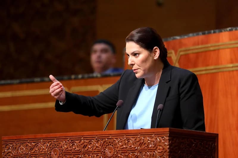 المنصوري من البرلمان: نلتزم بمصارحة المغاربة بالحقائق وإصلاح منظومتي الصحة والتعليم في صلب الأولويات الحكومية